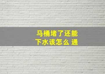 马桶堵了还能下水该怎么 通